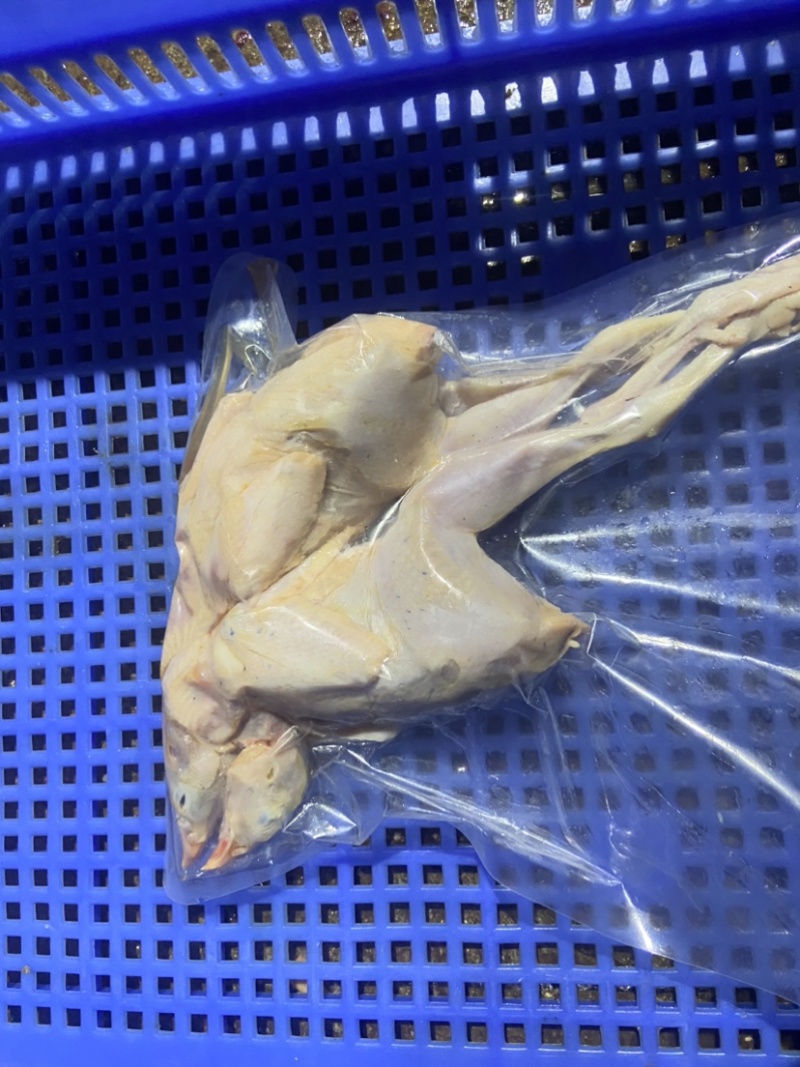 佛山鹧鸪肉。基地直发，真空包装欢迎进店咨询。