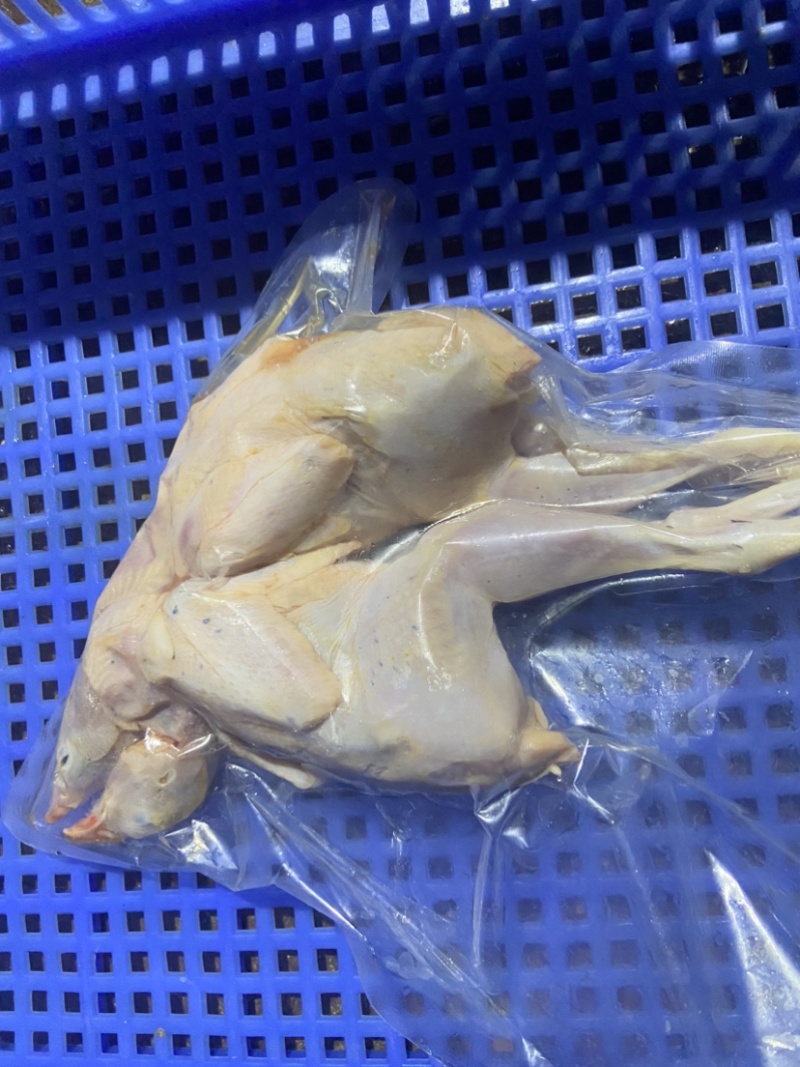 佛山鹧鸪肉。基地直发，真空包装欢迎进店咨询。