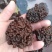 猴脑菌核桃菌干品猴脑菌原货基地直邮，猴脑菇核桃菌拌核桃仁