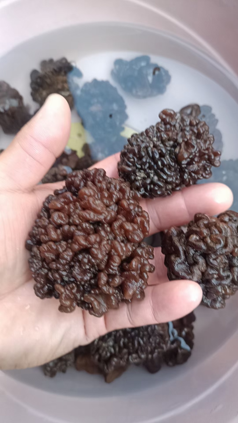 猴脑菌核桃菌干品猴脑菌原货基地直邮，猴脑菇核桃菌拌核桃仁