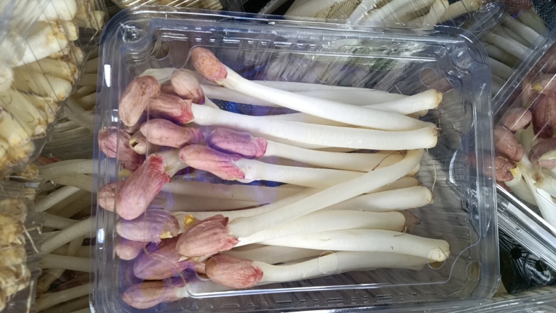 新鲜花生芽水培花生芽
