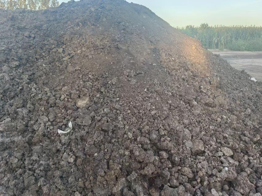 迁西罗家屯镇示范园秋季管理实景:工人正在距树干60cm处开挖环状施肥沟(宽40cm、深30cm),沟内已均匀撒入腐熟牛粪与过磷酸钙,背景可见梯田石堰与片麻岩露头。地面散落测量卷尺与土壤pH测试仪 迁西板栗标准化果园秋季深翻扩穴作业现场