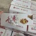 陕西大荔冬枣《一件代发》社区团购电商代发