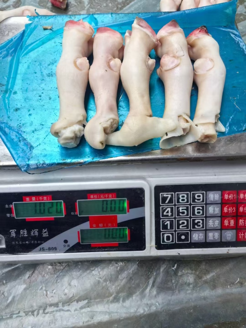 羊蹄，公司生产羊蹄，厂家直销，长期合作，欢迎各位老板光临。