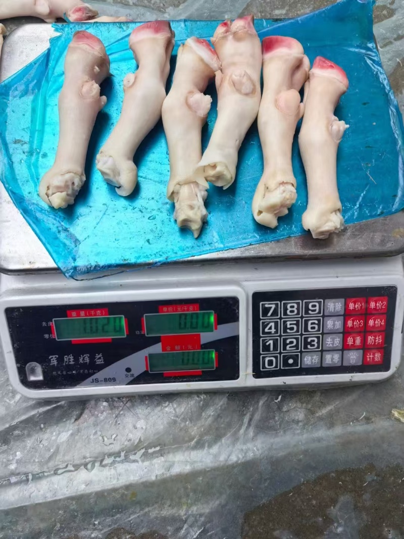 羊蹄，公司生产羊蹄，厂家直销，长期合作，欢迎各位老板光临。