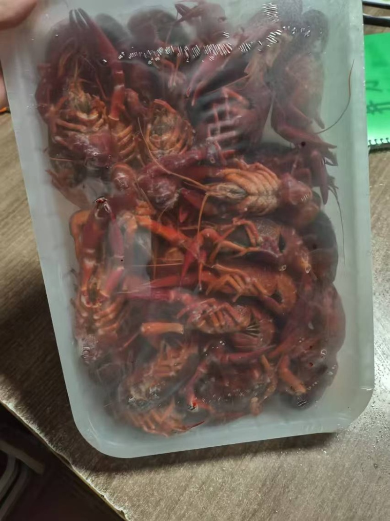 456清水小龙虾