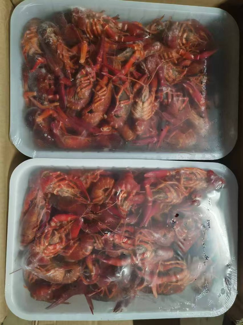 456清水小龙虾