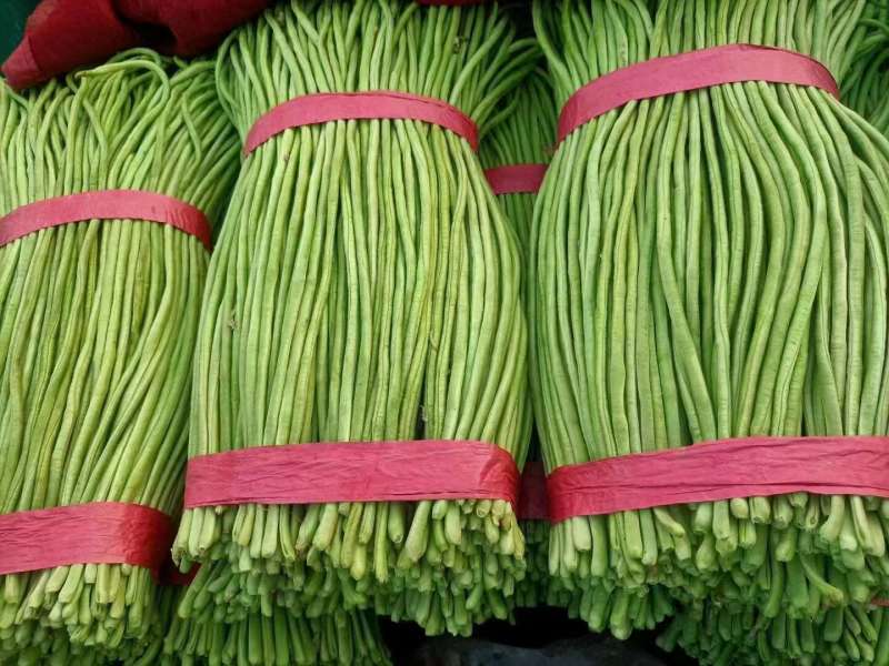 长豆角山东豇豆青条豆角商超电商供货加工厂货代收代发