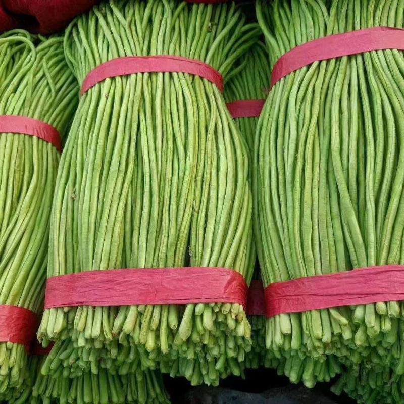 长豆角山东豇豆青条豆角商超电商供货加工厂货代收代发