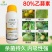 80%乙蒜素柑橘果树青苔病根腐病枯萎烂秧青枯立枯病烟煤病