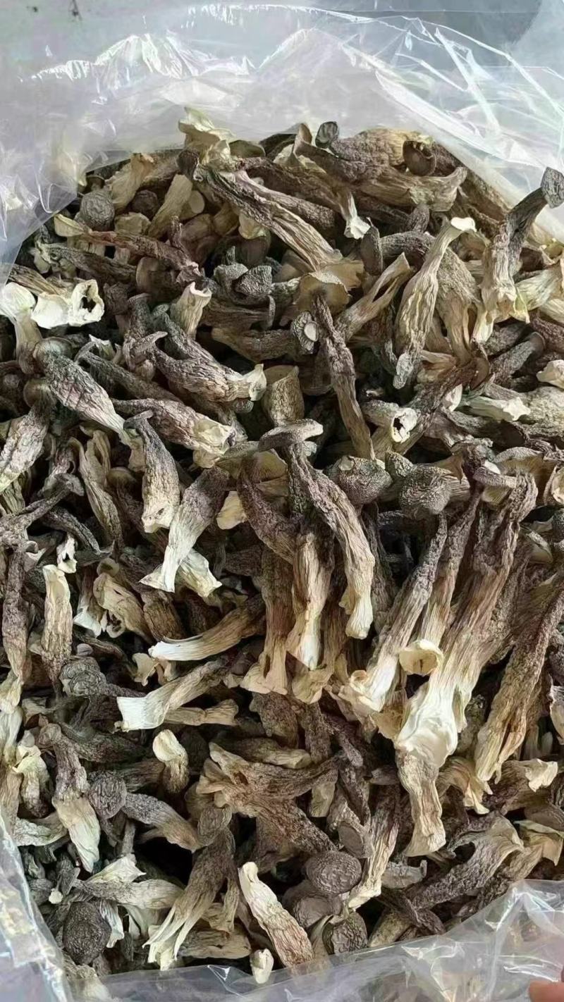 鹿茸菇，一件10斤，质量非常好，库到新货了