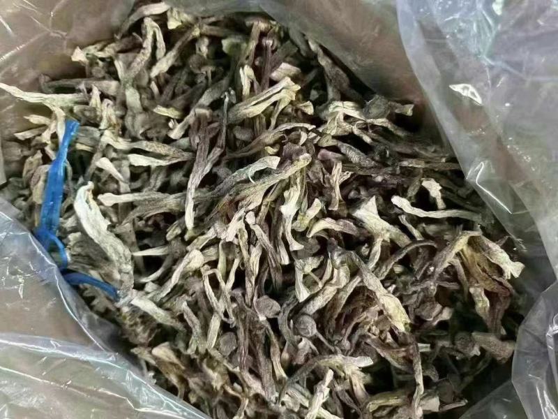 鹿茸菇，一件10斤，质量非常好，库到新货了