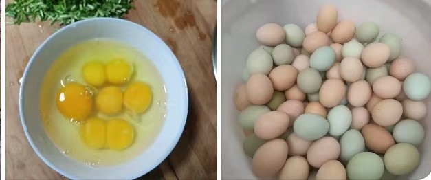 鸡蛋腥味对比图