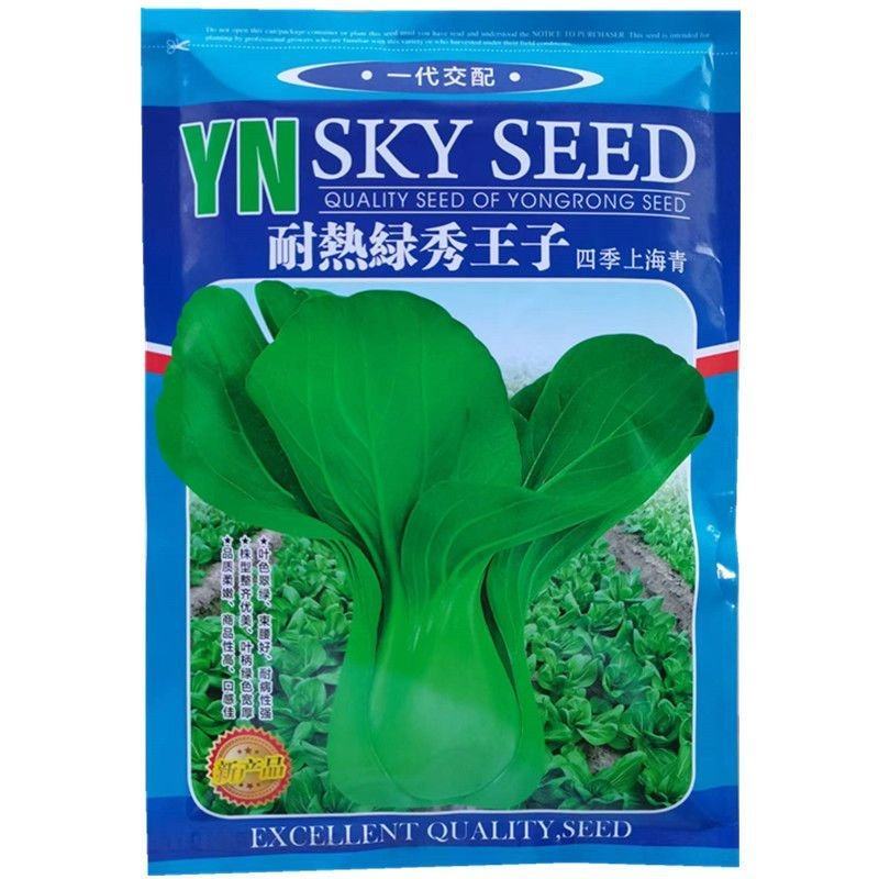 耐热绿秀王子上海青种子，耐热耐寒，束腰，抗病，基地种植