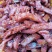 【河北蛋白】素肉大豆蛋白！调味品！豆腐鲜香美味欢迎选购