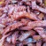 【河北蛋白】素肉大豆蛋白！调味品！豆腐鲜香美味欢迎选购