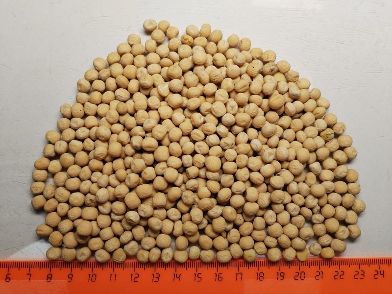 优质俄罗斯进口豌豆