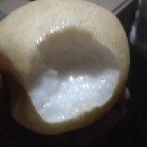 山西平遥酥梨，口感嘎嘎甜！皮毛亮度杠杠好！