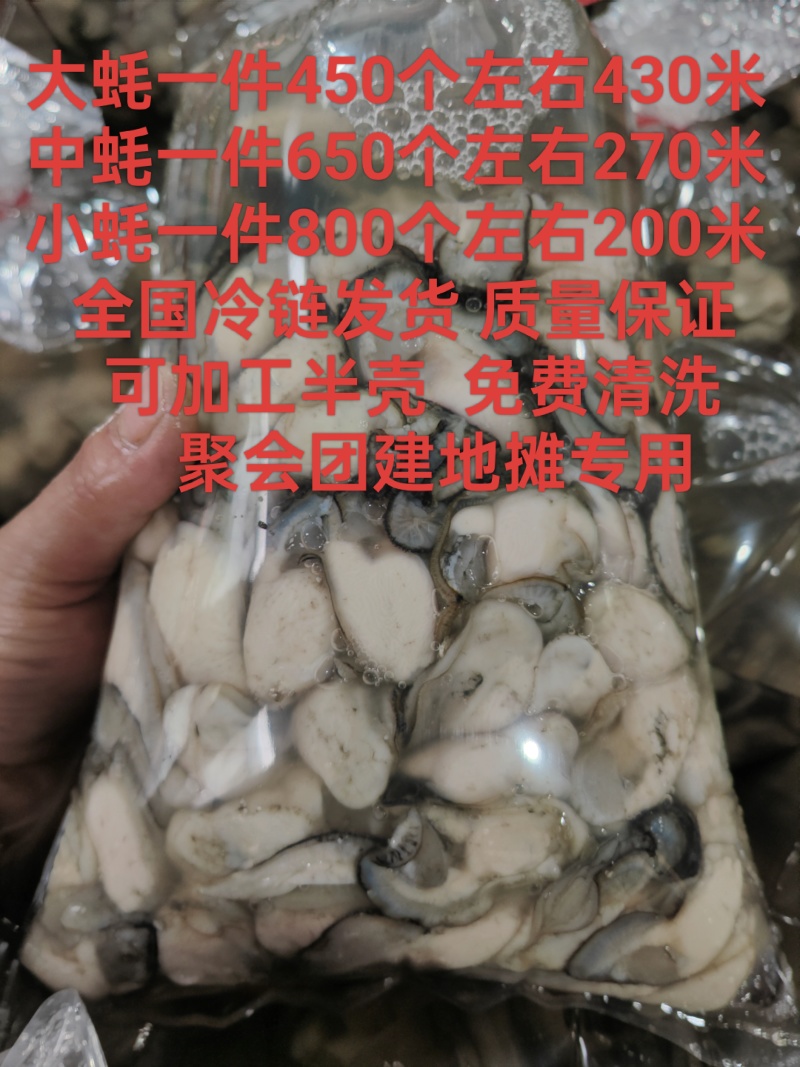 汫洲生蚝潮汕生蚝肉肥口感好个大量大从优欢迎联系