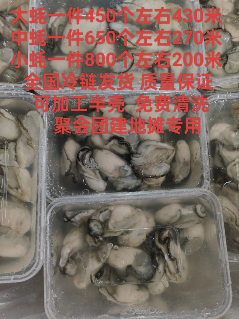 汫洲生蚝潮汕生蚝肉肥口感好个大量大从优欢迎联系