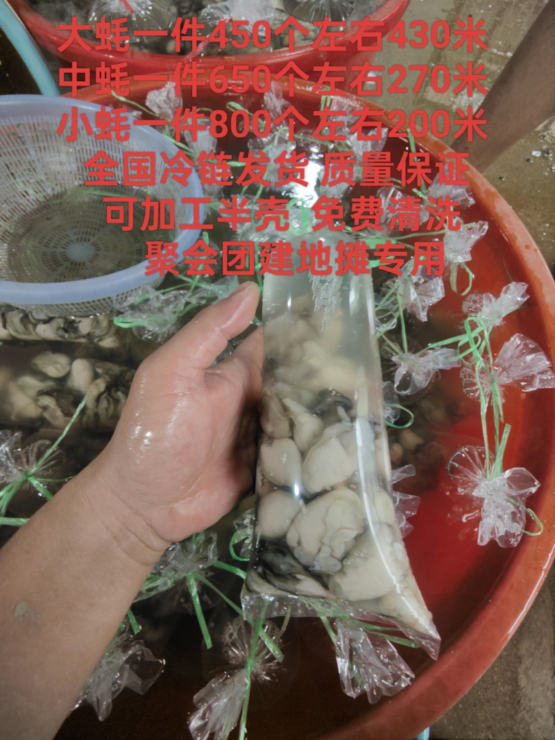 汫洲生蚝潮汕生蚝肉肥口感好个大量大从优欢迎联系