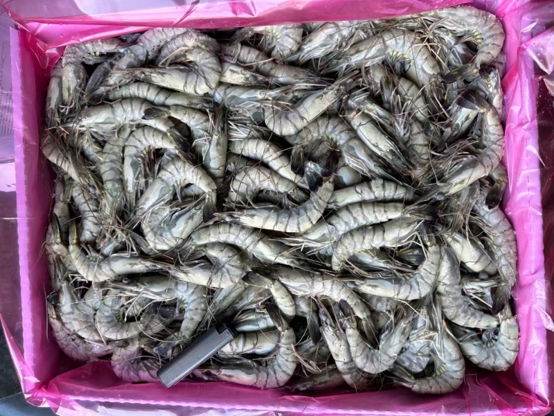 黑虎虾，价格便宜，货源充足，规格齐全，欢迎选购咨询