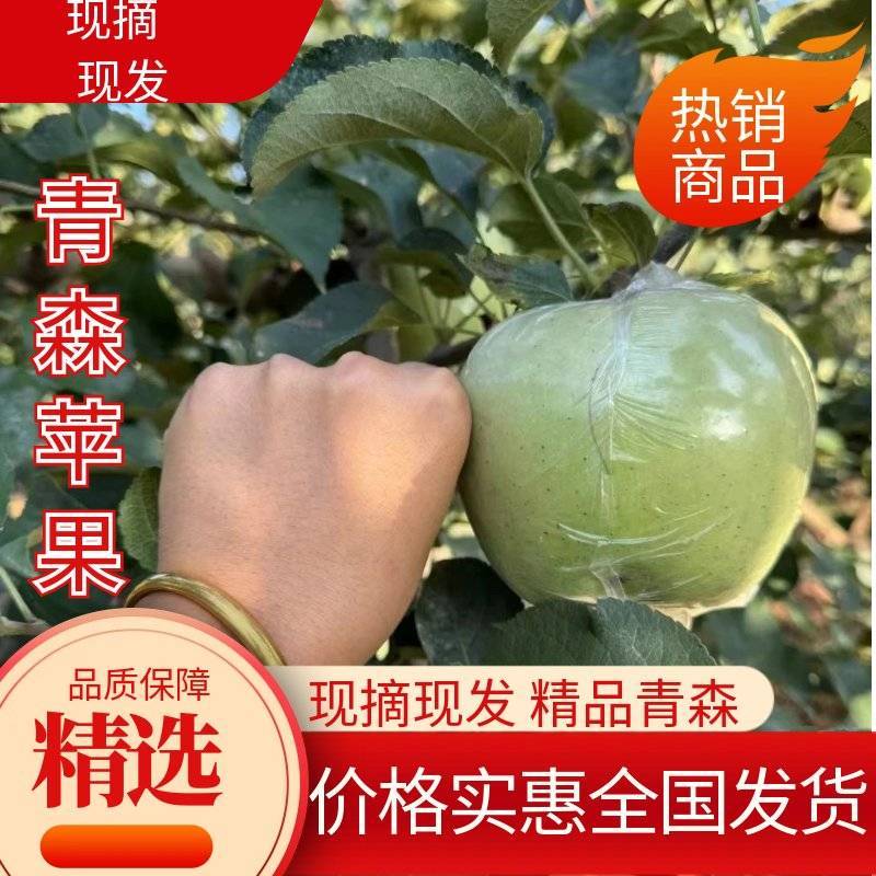 山东青岛青森苹果水蜜桃苹果热卖中量大价优口感好汁水足