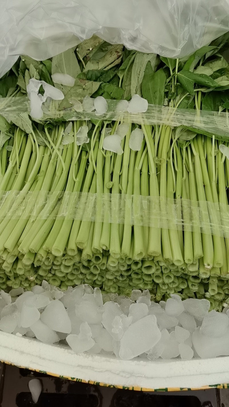 精品泡沫箱空心菜#产地直发#***********