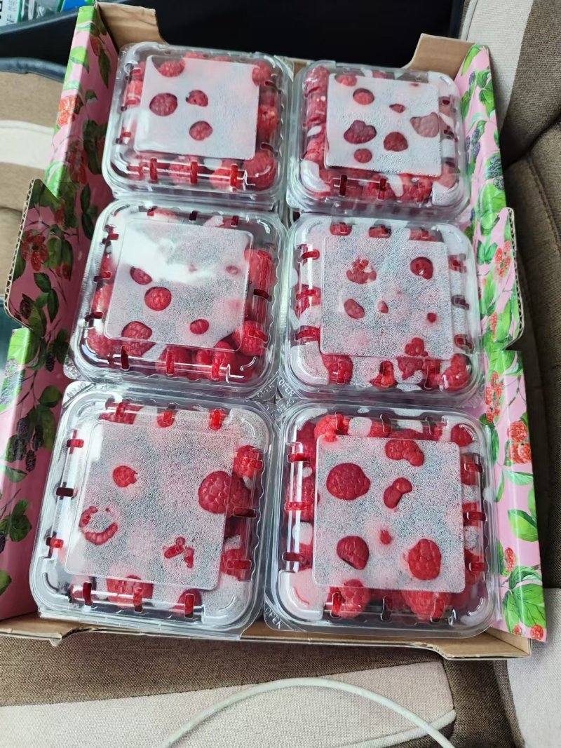 树莓鲜果