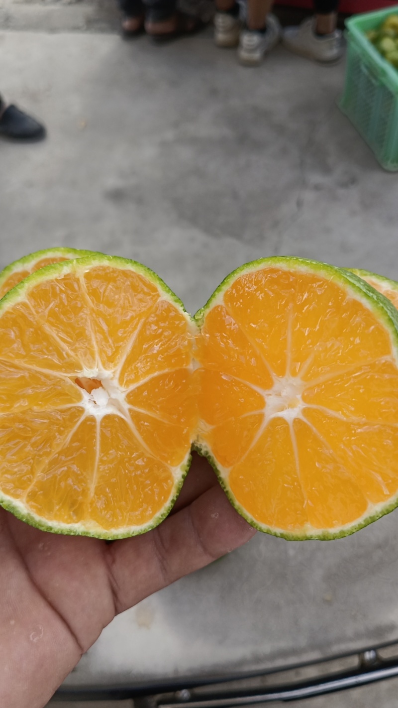蜜橘
