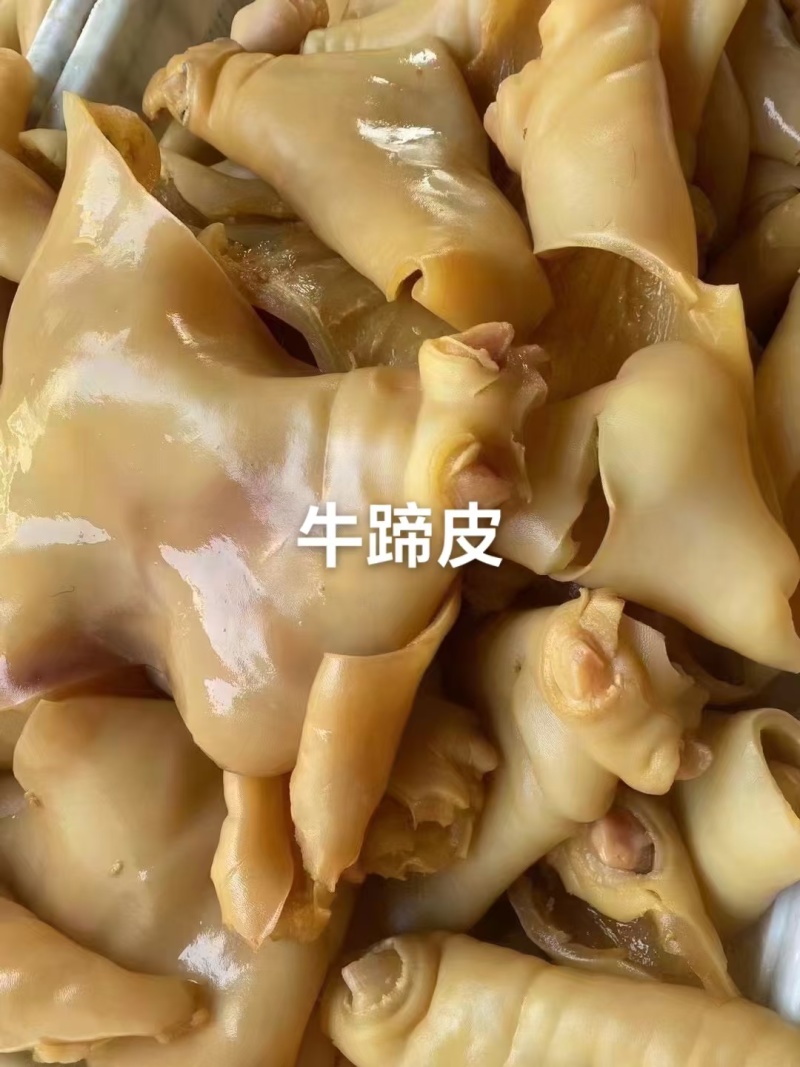 牛蹄皮牛腿皮去骨牛蹄皮牛皮去毛干净卤拌