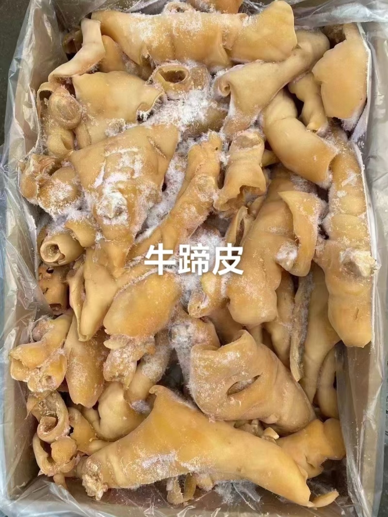 牛蹄皮牛腿皮去骨牛蹄皮牛皮去毛干净卤拌