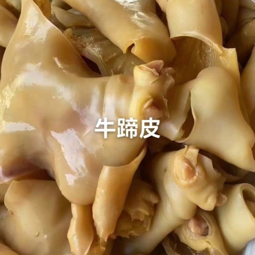 牛蹄皮牛腿皮去骨牛蹄皮牛皮去毛干净卤拌