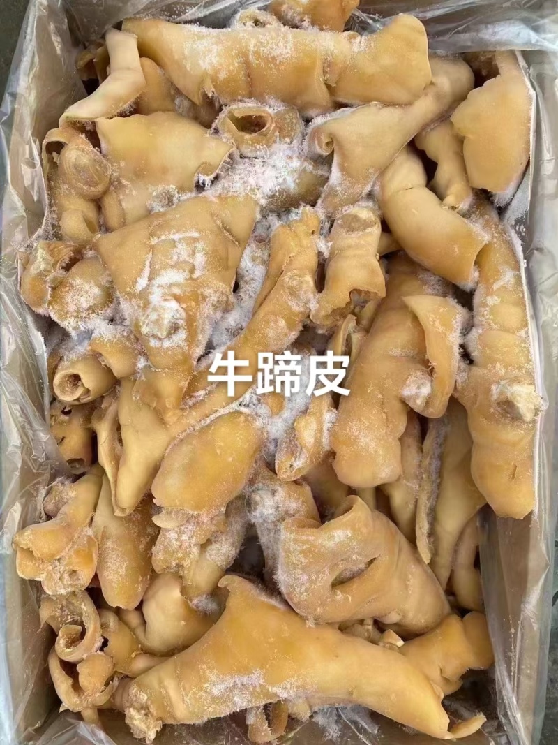 牛蹄皮牛腿皮去骨牛蹄皮牛皮去毛干净卤拌
