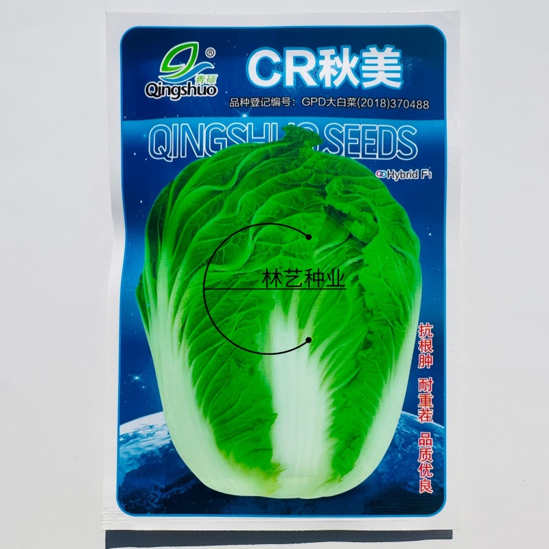青硕CR秋美白菜种子抗病丰产秋晚熟净菜率高丰产大白菜