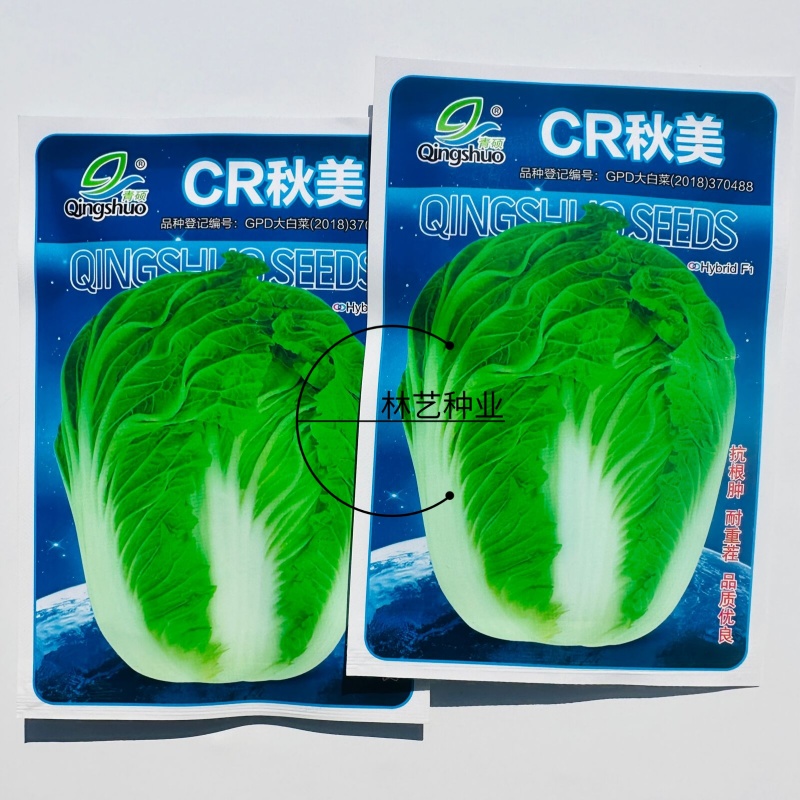 青硕CR秋美白菜种子抗病丰产秋晚熟净菜率高丰产大白菜