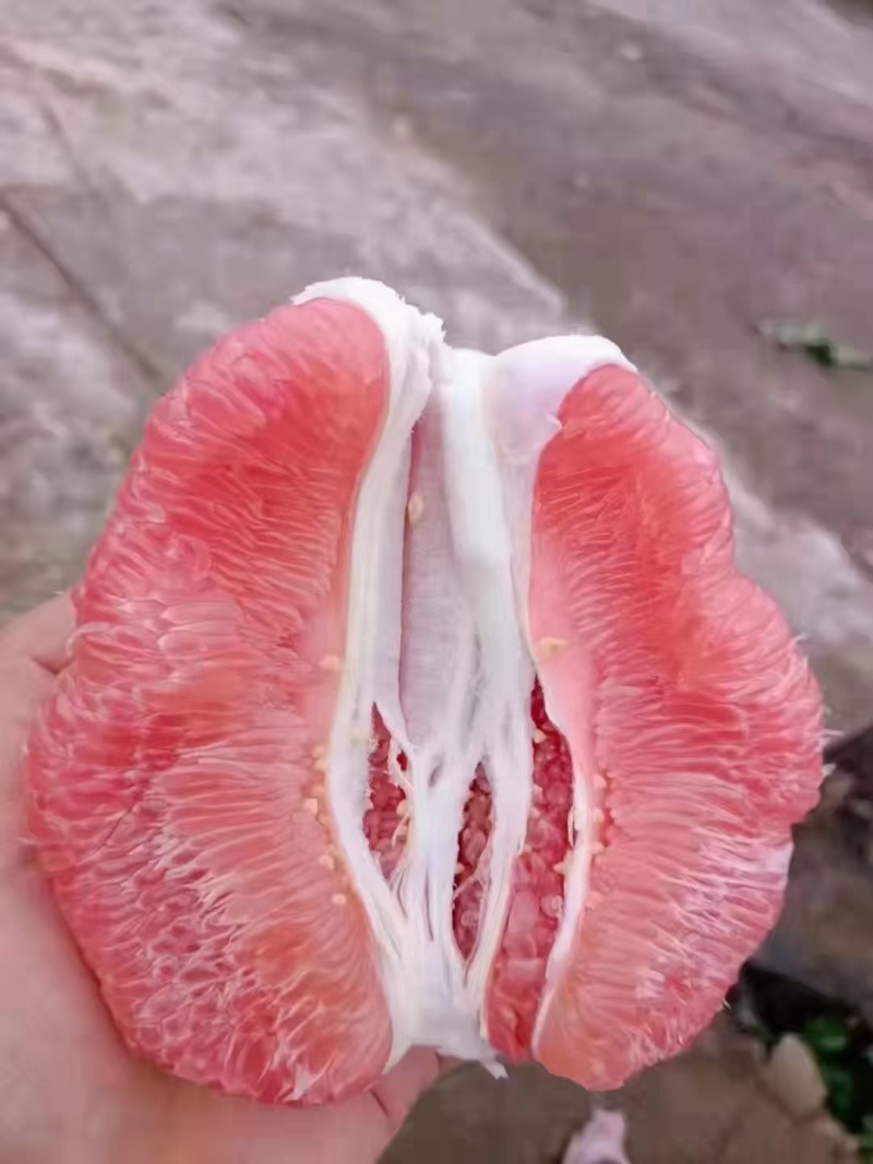 四川红心柚子大量上市中，需要的联系啊，货源充足，质量好，