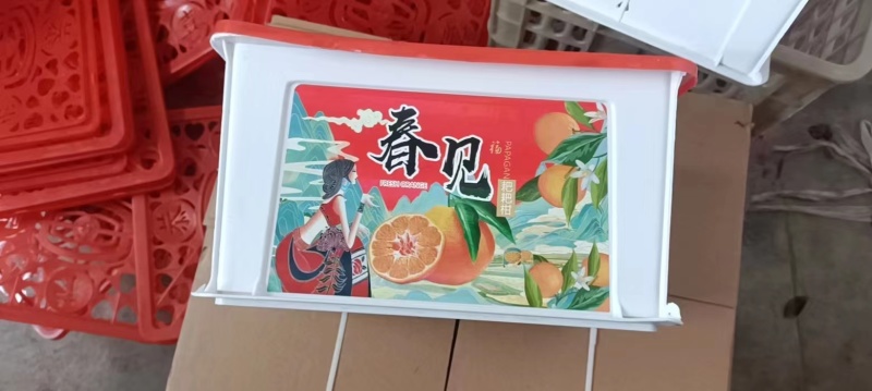 四川大基地耙耙柑大量上中需要的联系。货源充足，质量好