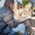 四川大基地耙耙柑大量上中需要的联系。货源充足，质量好