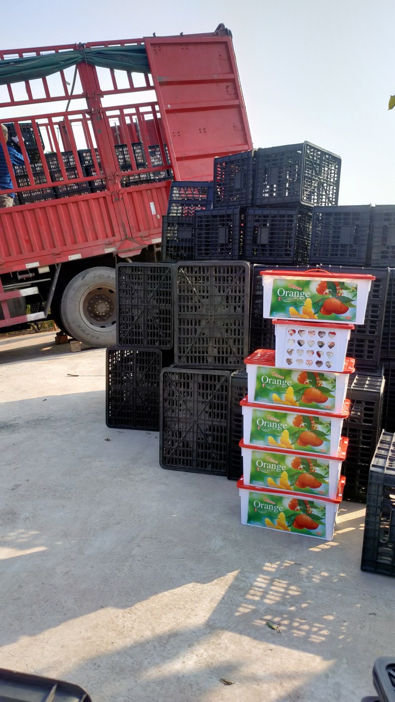 四川大基地耙耙柑大量上中需要的联系。货源充足，质量好