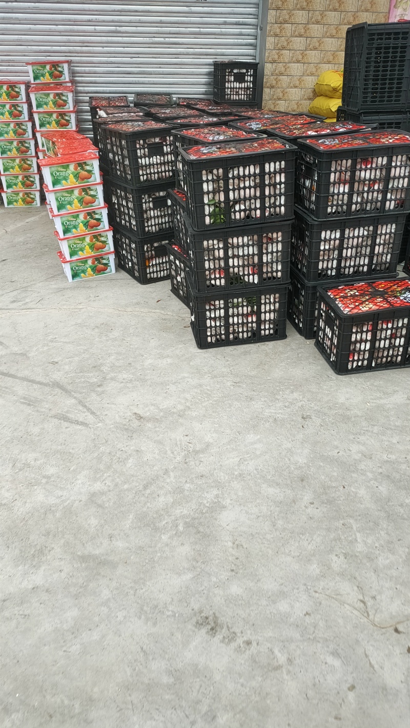 四川大基地耙耙柑大量上中需要的联系。货源充足，质量好