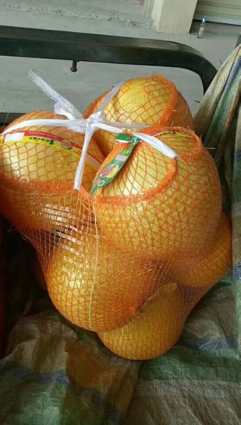 精品红心柚产地供应有出口资质对接全国量大从优欢迎咨询