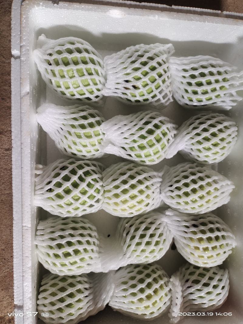 广东，西瓜红，红心番石榴，大量可以供应货量