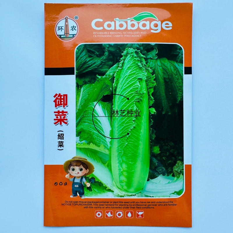 御菜绍菜青麻菜大白菜种子蔬菜优质高产抗病耐贮商品性佳秋季