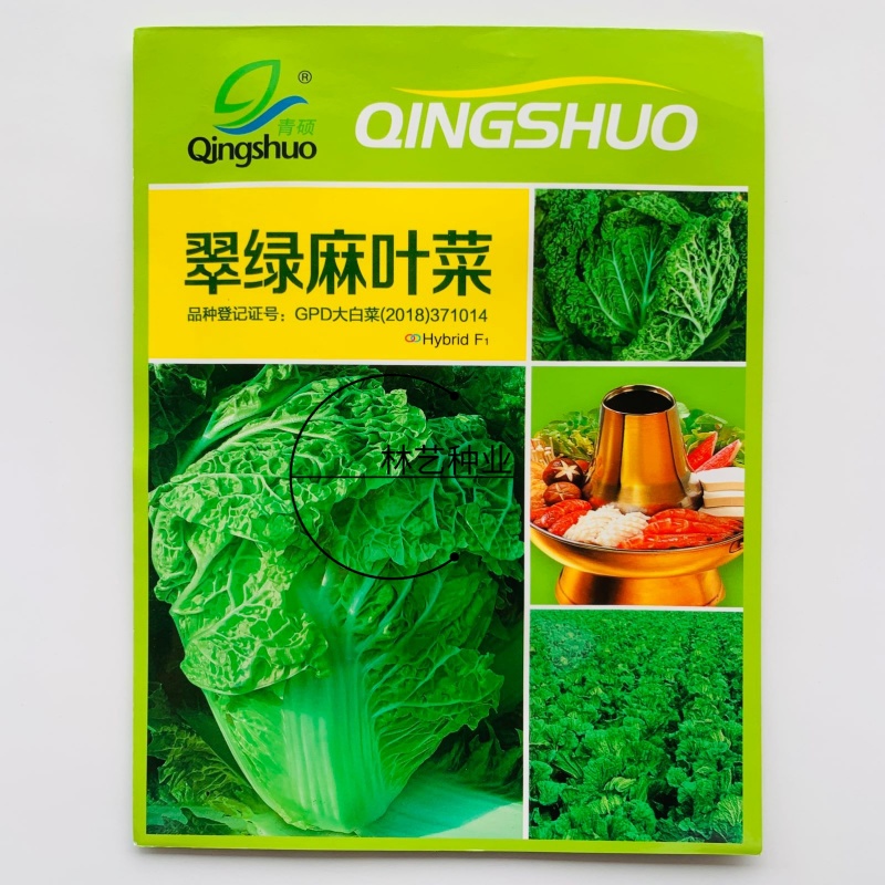 翠绿麻叶菜种子早熟火锅菜白菜种孑无筋皱叶黄心夏秋四季蔬菜