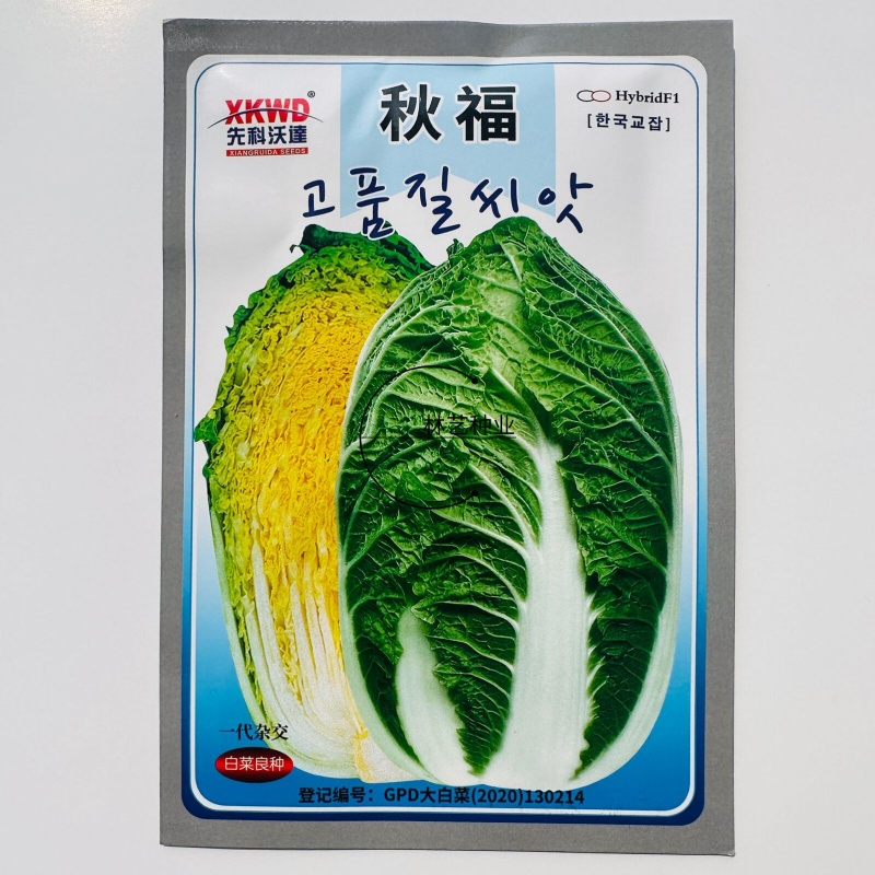 秋福黄心白菜种子黄芯秋播大白菜种籽冬储白菜耐寒秋冬季蔬菜