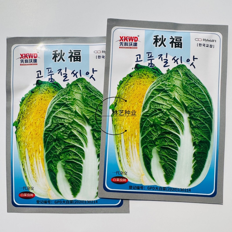 秋福黄心白菜种子黄芯秋播大白菜种籽冬储白菜耐寒秋冬季蔬菜