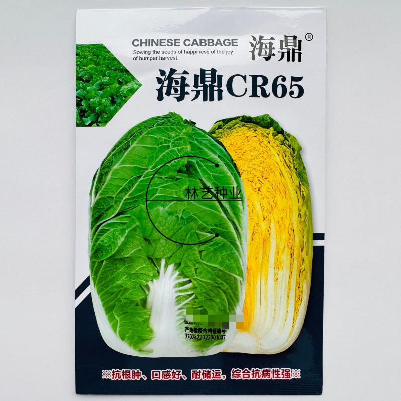 海鼎cr65抗根肿病大白菜种子山东早熟65天春秋黄心白菜