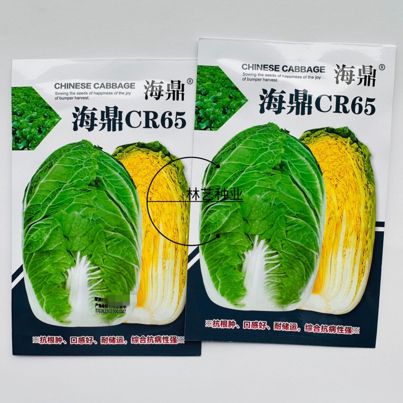 海鼎cr65抗根肿病大白菜种子山东早熟65天春秋黄心白菜