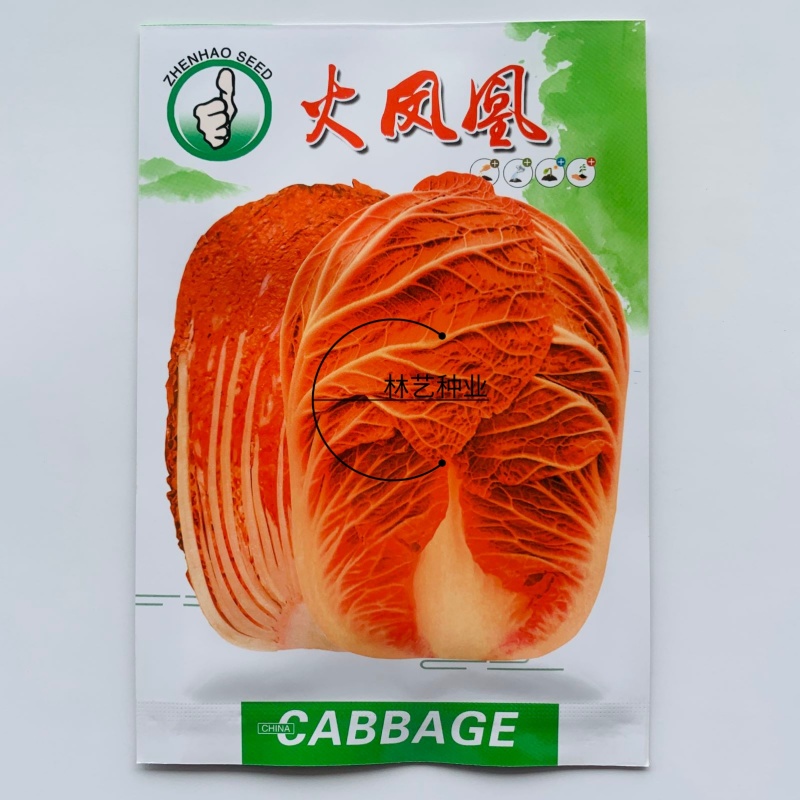 火凤凰大白菜种子抗病高产高钙橘红心农家大田易种植蔬菜种子